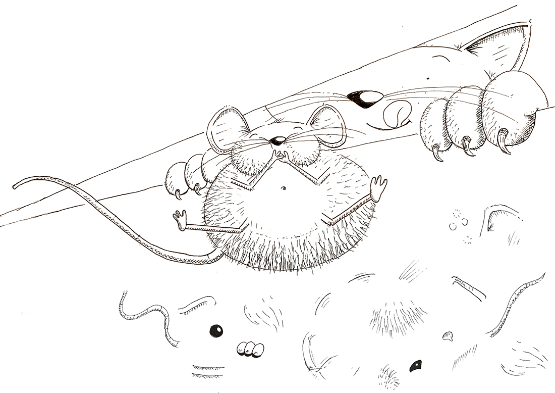 Editorial-Illustration-Journal