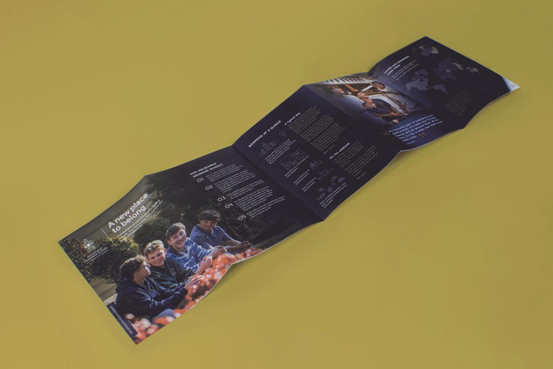 IMG_4872_1080_gif_yellow