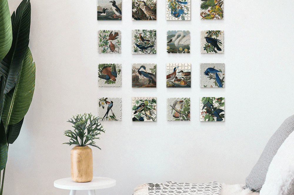 R008_A004_Medium_002_gif